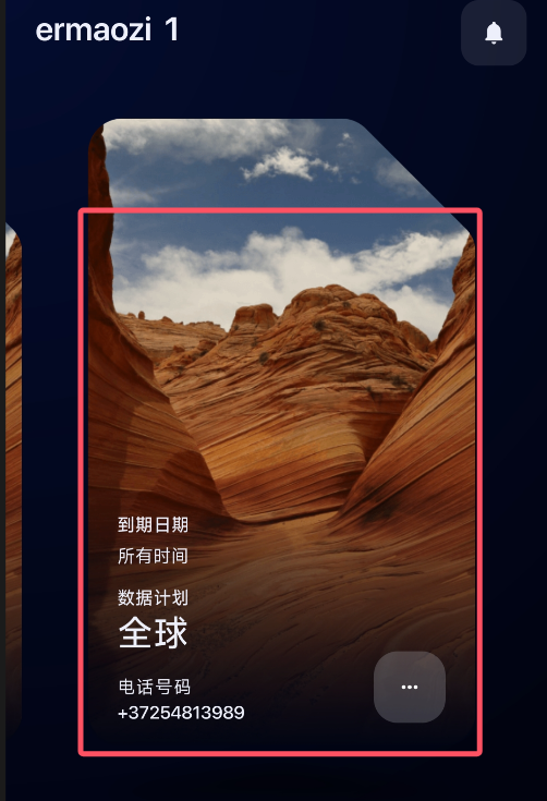 Opening the purchased profile