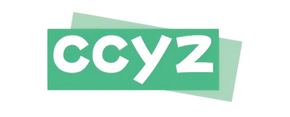 ccyz 机场推荐评测截图