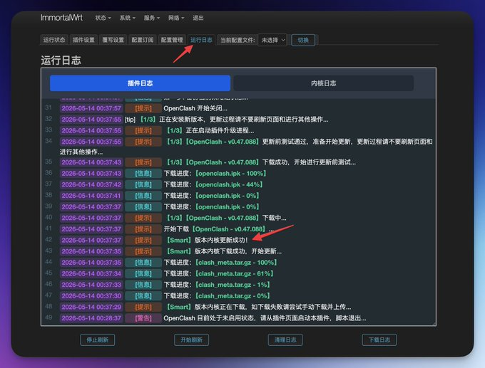 查看运行日志