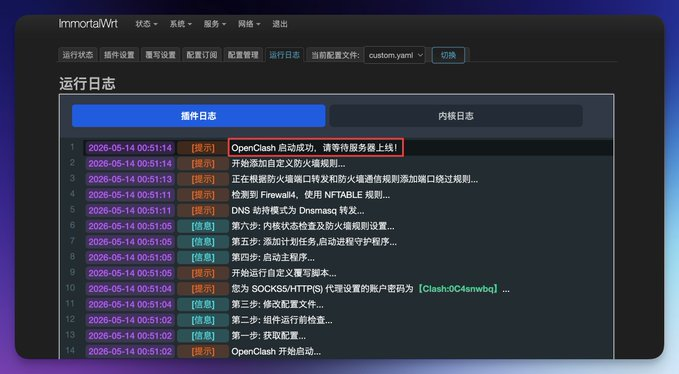 启动成功日志